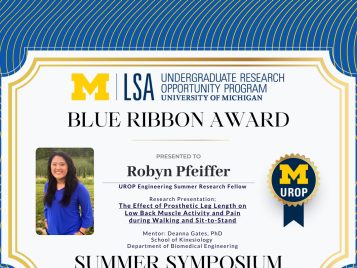 2021 Summer Blue Ribbon IG 